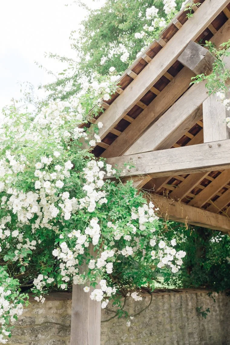 Flowers in the courtyard at Stratton Court Barn