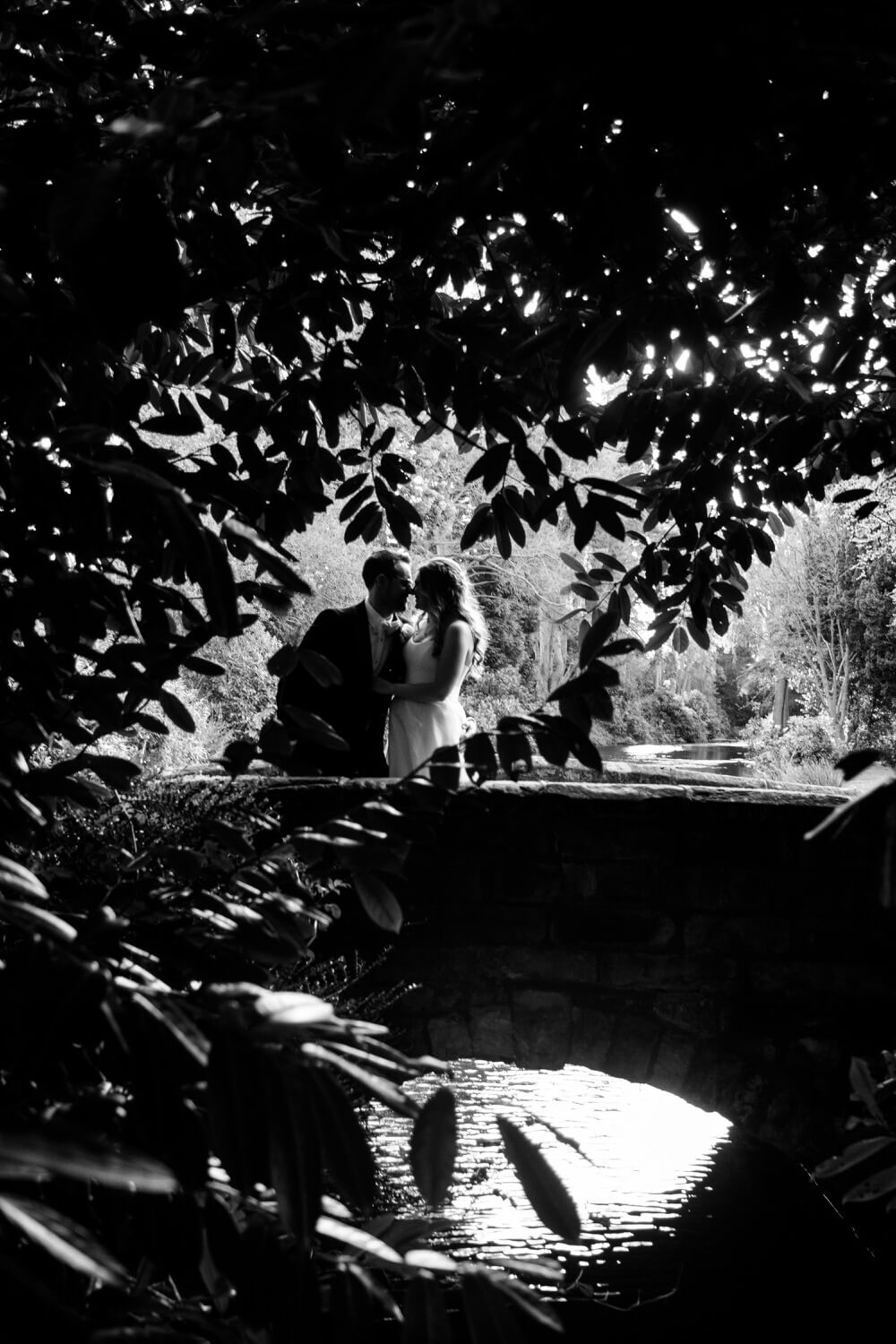 Silhouette portrait of the couple at Hawkstone Hall