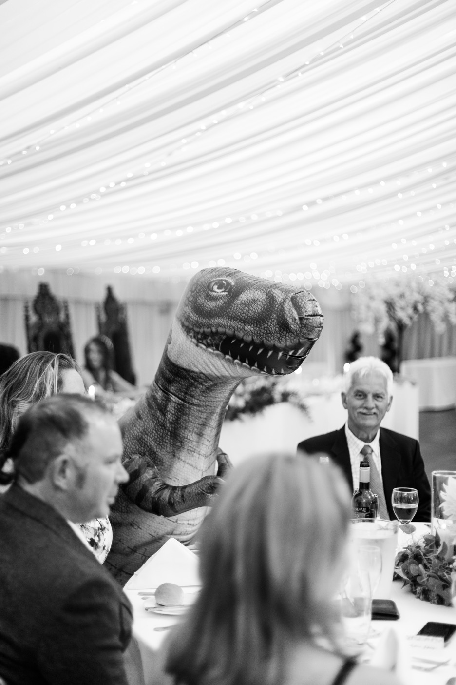 The inflatable dinosaur at Netley Hall
