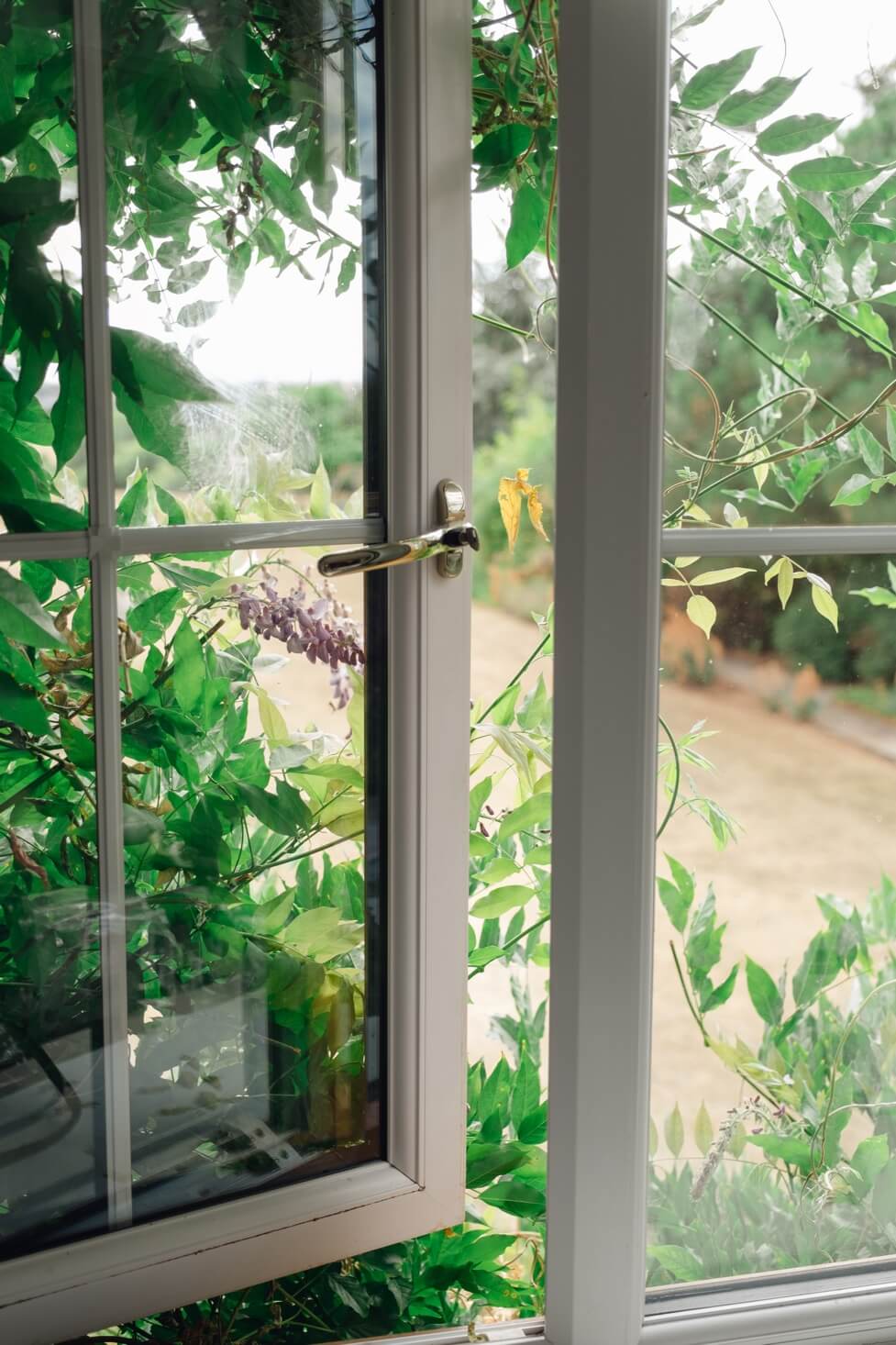 The view across the fields from the prep room at Hencote