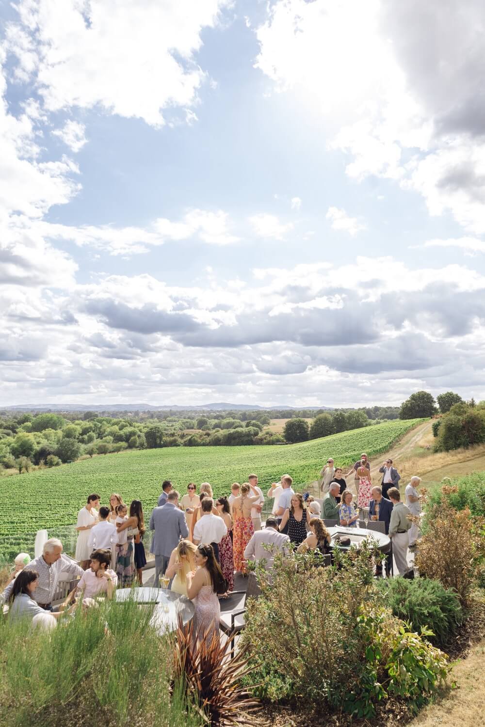 Guests enjoying the vineyard views at Hencote
