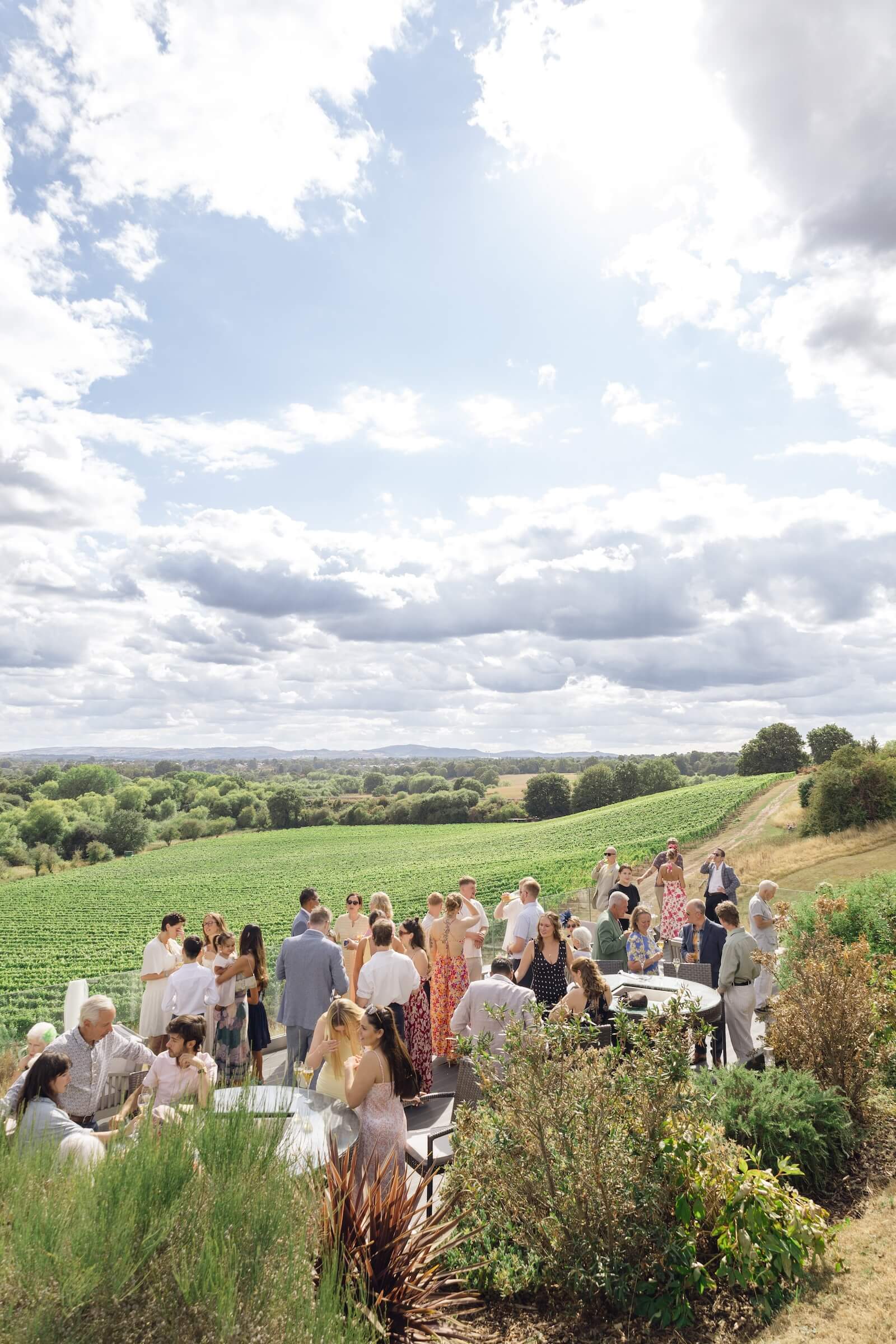 Guests enjoying drinks on the terrace overlooking the vineyard at Hencote